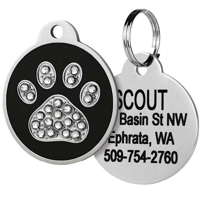 Stainless Steel Personalized Dog & Cat ID Tag S964874