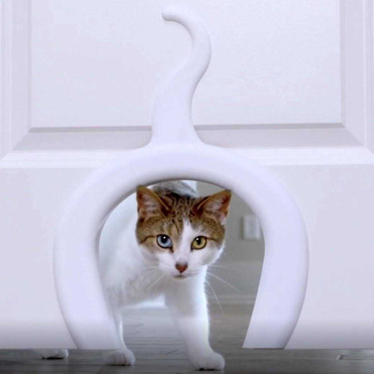 Cat Door for Interior Doors F2656