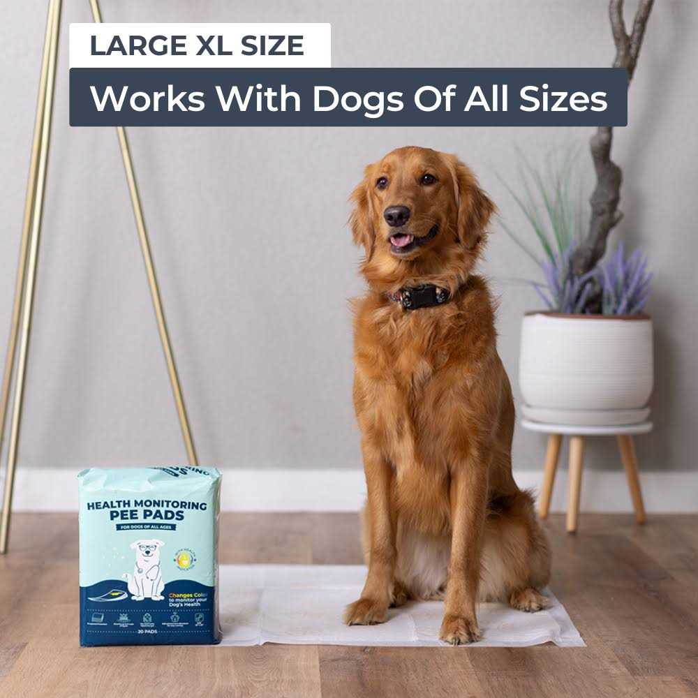 Health Monitoring Pee Pads T2205