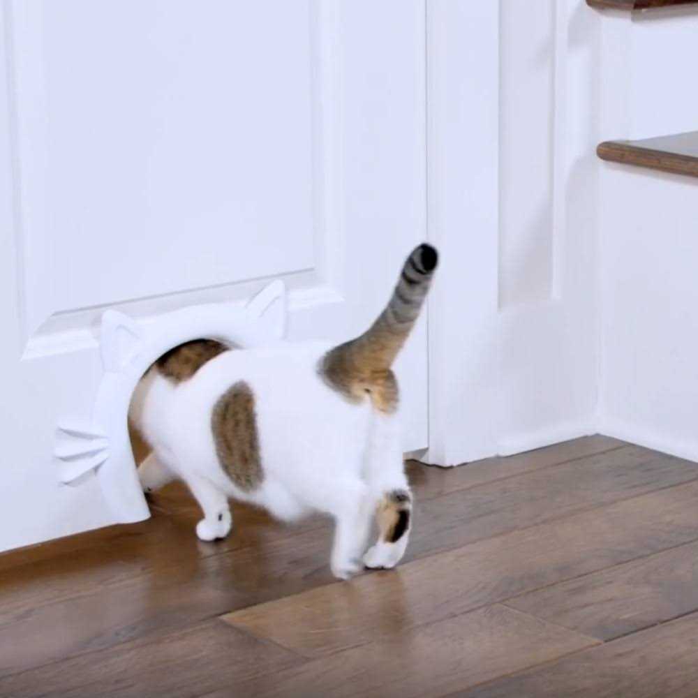 Cat Door for Interior Doors F2656