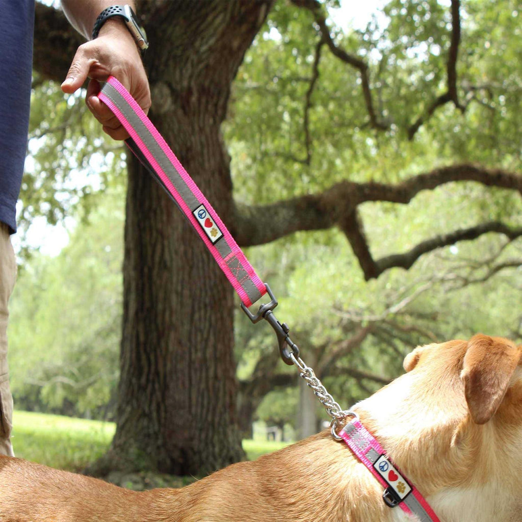 6 ft Solid Dog Leash A264436