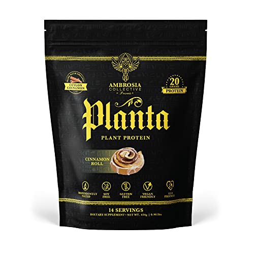 Organic Plant-Based Protein 14 Servings Cinnamon Roll W67612