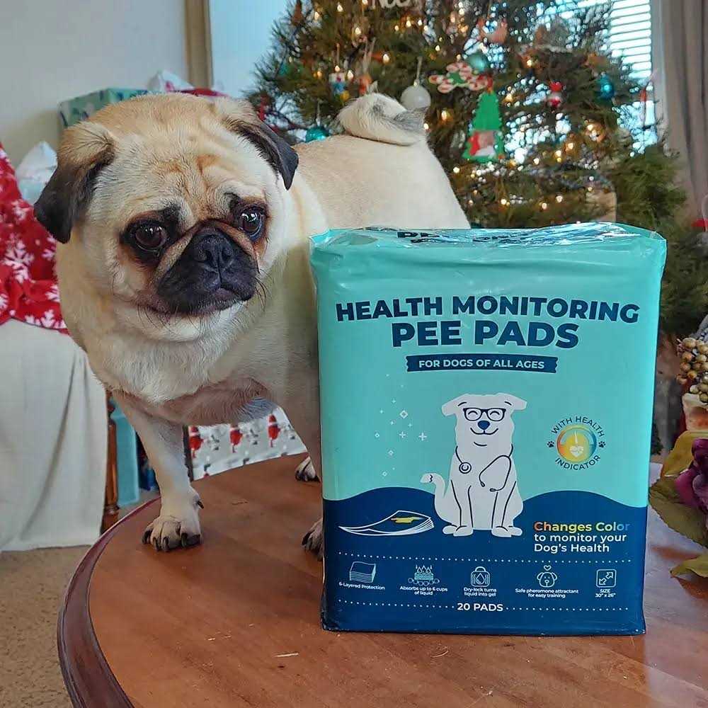 Health Monitoring Pee Pads T2205